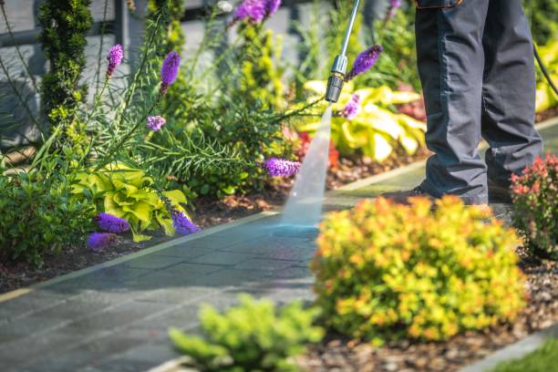 Professional Pressure Washing Services in Harvest, AL