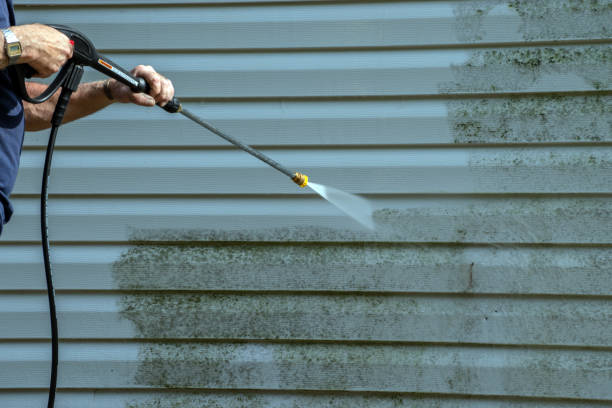 Best Sidewalk and Walkway Cleaning  in Harvest, AL
