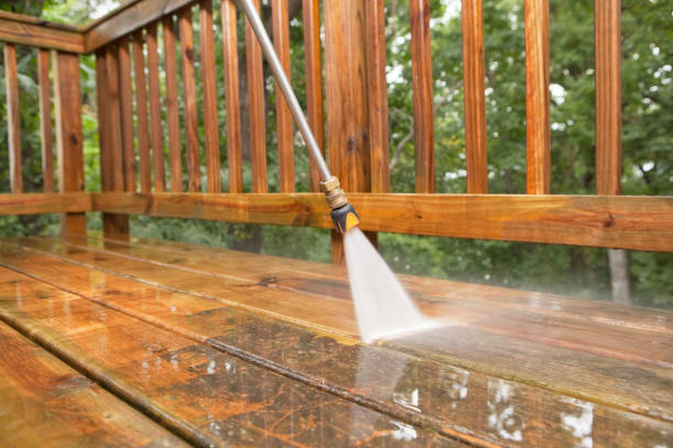 Best Fence Cleaning  in Harvest, AL