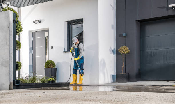 Best Solar Panel Cleaning  in Harvest, AL